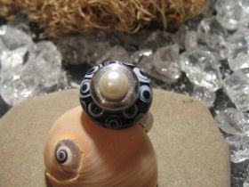 Wechselring 008PT.jpg